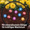 SUBSTRAL® Terra Magma® Grün- und Blühpflanzenerde torffrei - 40 Liter