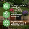 SUBSTRAL® Terra Magma® Grün- und Blühpflanzenerde torffrei - 40 Liter