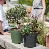 tera® Pflanzgefäße ORIONE Forest dunkelgrün 19 cm - Kunststoff
