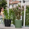 tera® Pflanzgefäße ORIONE Forest dunkelgrün 19 cm - Kunststoff