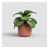 Übertopf Astrea 20 cm Terracotta