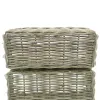VAN DER LEEDEN Aufbewahrungsbox Rattan Grau 50x20h20cm
