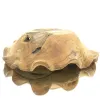 VAN DER LEEDEN Schale Baumwurzel Natur 60 cm