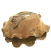 VAN DER LEEDEN Schale Baumwurzel Natur 60 cm