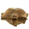 VAN DER LEEDEN Schale Baumwurzel Natur 60 cm