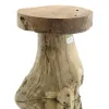 VAN DER LEEDEN Schemel Teak Baumwurzel D40h45cm