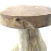 VAN DER LEEDEN Schemel Teak Baumwurzel D40h45cm