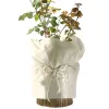 Videx® Pflanzen-Winterschutz-Topfschutzvlies Beige 600 x 50 cm