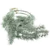 Weihnachtlicher Traumfänger aus Zedernzweigen beschneit Ø ca. 20 cm - Kunststoff