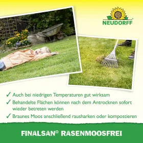 3 x NEUDORFF® Finalsan® RasenMoosFrei 1 Liter EAN 4005240005040