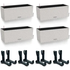 LECHUZA® Blumenkasten BALCONERA Cottage 50 Lichtgrau All-in-One x 4 + 8 Halter LECHUZA® Blumenkasten BALCONERA Cottage 50 Lichtgrau All-in-One x 4 + 8 Halter