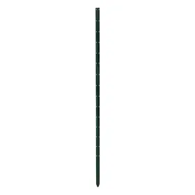Bellissa Pflanzstab Timo 100 cm grün