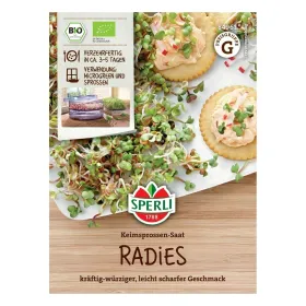 Keimsprossen-Saat Radies