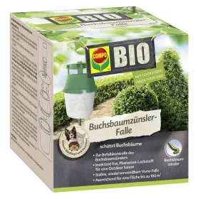 COMPO BIO Buchsbaumzünsler Falle für bis zu 180 m² COMPO BIO Buchsbaumzünsler Falle für bis zu 180 m²