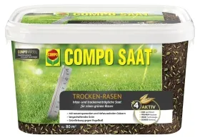 COMPO SAAT® Trocken Rasen für 80 m² - 2 kg COMPO SAAT® Trocken Rasen für 80 m² - 2 kg