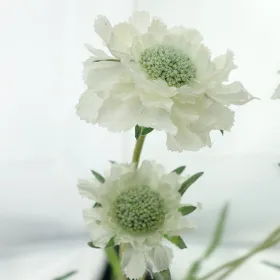 DEKO® FLORALE Scabiose weiß 60 cm - Kunstblumen