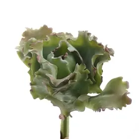 DEKO® FLORALE Sukkulente Curved Grün & Malve 15 cm - Kunstpflanzen