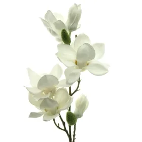 DPI Magnolienzweig Cremeweiß mit 4 Blüten & 2 Knospen 66 cm - Kunstblumen DPI Magnolienzweig Cremeweiß mit 4 Blüten & 2 Knospen 66 cm - Kunstblumen