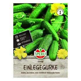 Einlegegurke Conny F1
