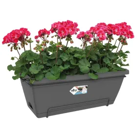 elho® Barcelona Balkonkasten XL Anthrazit 55 cm all-in-1 mit Halterung