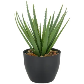 GASPER Aloe Vera im Kunststofftopf mit Kies 20 cm, grün, 11 x 9 cm