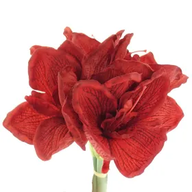 GASPER Amaryllis - Ritterstern Rot 32 cm 3er Bund - Kunstblumen