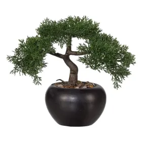 GASPER Bonsai Zeder Keramiktopf Ø 15 cm