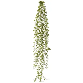 GASPER Mühlenbeckia-Hänger 71 cm - grün