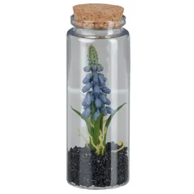 GASPER Muscari im Glas mit Deckel 12,5 cm blau