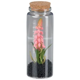 GASPER Muscari im Glas mit Deckel 12,5 cm rosa