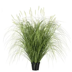 GASPER Pennisetum im Topf 115 cm