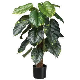 GASPER Philodendron scandens mit Cocosstamm 90 cm grün im Kunststofftopf