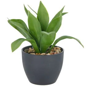 GASPER Sansevieria Moonshine - Bogenhanf im Kunststofftopf mit Kies 20 cm, grün, 11 x 9 cm