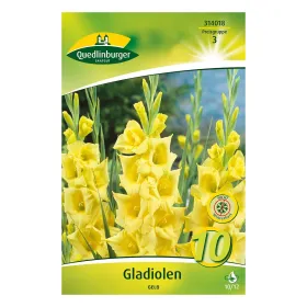 Gladiolen Gelb