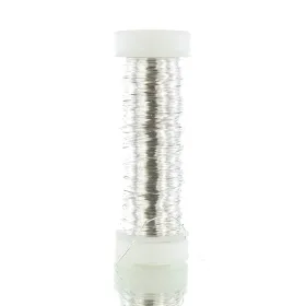 H & R Bastel - Decolackdraht Silberfarben rostfrei Ø 0,3 mm - 50 Meter
