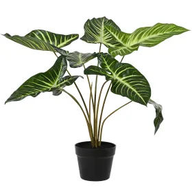 Kaemingk Pfeilblatt im schwarzen Topf Ø 55 cm Höhe 56 cm - Kunstpflanzen