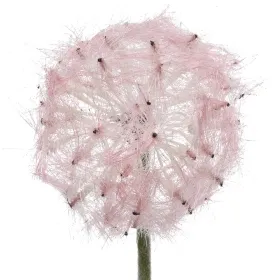 Kaemingk Pusteblume - Dandelion Rosa Ø 11 cm Höhe 50 cm - Kunstblumen Kaemingk Pusteblume - Dandelion Rosa Ø 11 cm Höhe 50 cm - Kunstblumen