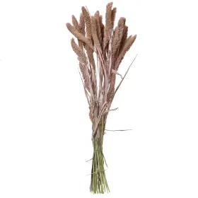 Kaemingk Trockenblumenbund Hirse-Sorghum Altrosa Ø 14 cm 55 cm - Bund
