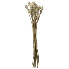 Kaemingk Trockenblumenbund Klatschmohnkapseln Ø 14 cm 55 cm - Bund