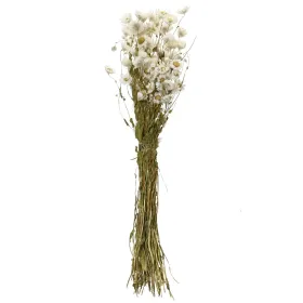 Kaemingk Trockenblumenbund Sonnenflügel-Helipterum Weiß/Gelb Ø 14 cm - Bund