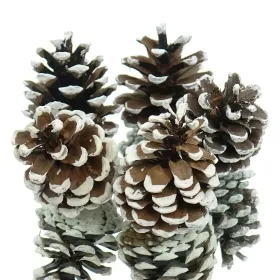 Kaemingk Weihnachtsdeko Kiefernzapfen Natur mit weißen Spitzen Ø ca. 5 cm 5er Pack Kaemingk Weihnachtsdeko Kiefernzapfen Natur mit weißen Spitzen Ø ca. 5 cm 5er Pack