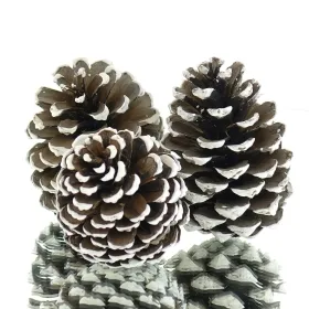 Kaemingk Weihnachtsdeko Zapfen Natur mit weißen Spitzen - 3 Stück