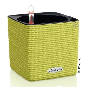 LECHUZA® Pflanzgefäße CUBE Color 14 Limette grün mit Dochtsystem LECHUZA® Pflanzgefäße CUBE Color 14 Limette grün mit Dochtsystem