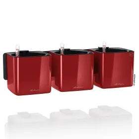 LECHUZA® Pflanzgefäße CUBE Glossy Green Wall Home Kit Scarlet rot hochglänzend LECHUZA® Pflanzgefäße CUBE Glossy Green Wall Home Kit Scarlet rot hochglänzend