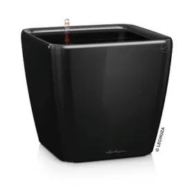 LECHUZA® Pflanzgefäße QUADRO LS 50 Schwarz hochglanz All-in-One