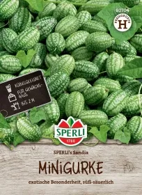 Minigurken SPERLI´s Sandia - Gemüsesamen Minigurken SPERLI´s Sandia - Gemüsesamen