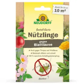 NEUDORFF Bestell-Karte Nützlinge gegen Blattläuse - 150 Florfliegenlarven