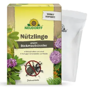 NEUDORFF® Bestell-Karte Nützlinge gegen Dickmaulrüssler - 5 Mio. HM-Nematoden
