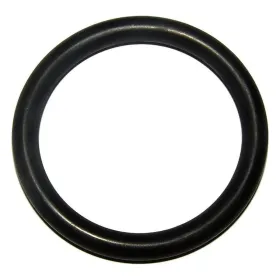 O-Ring 38x5 für Sprühgeräte