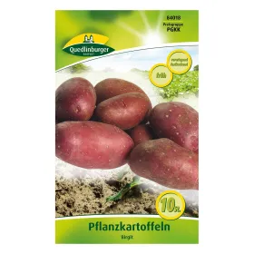 Pflanzkartoffel Birgit - 10 Stück Pflanzkartoffel Birgit - 10 Stück